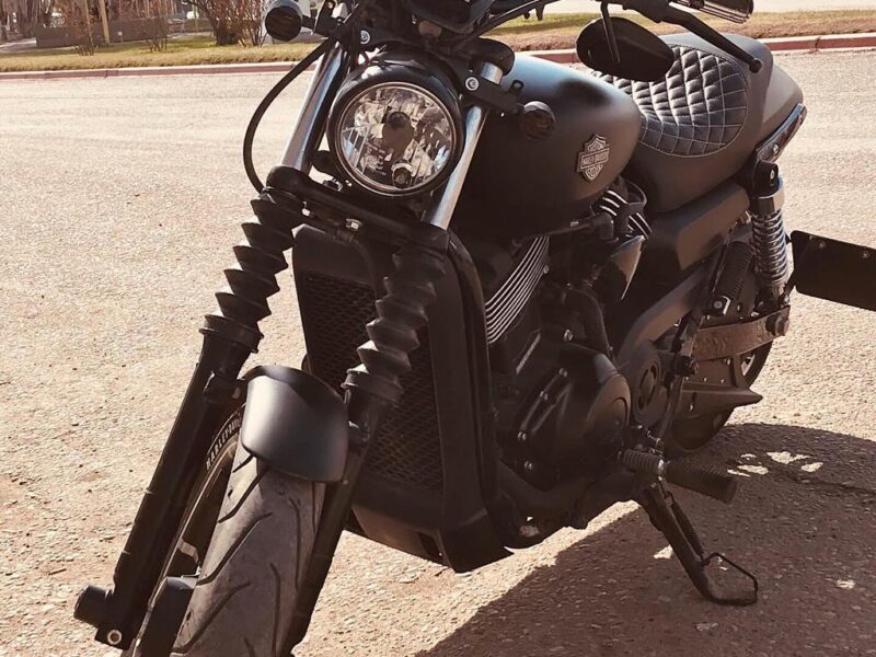 Motocicleta Harley Davidson 750cc 2017 impecable